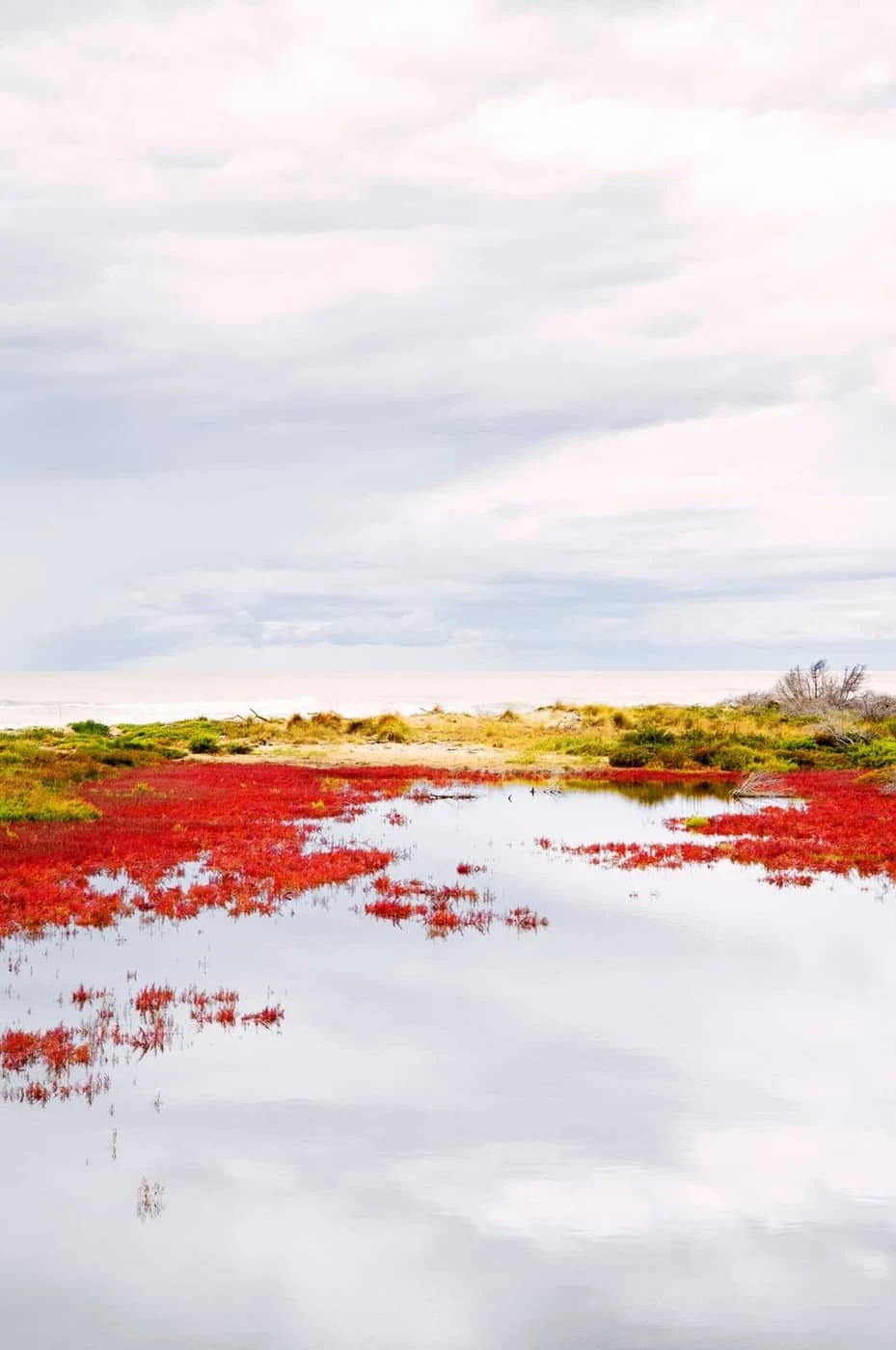 Olivier Cuvelette - Photo 6