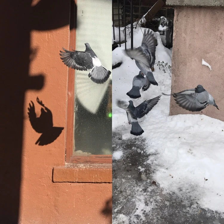 Pat O’Rourke - Photo 5