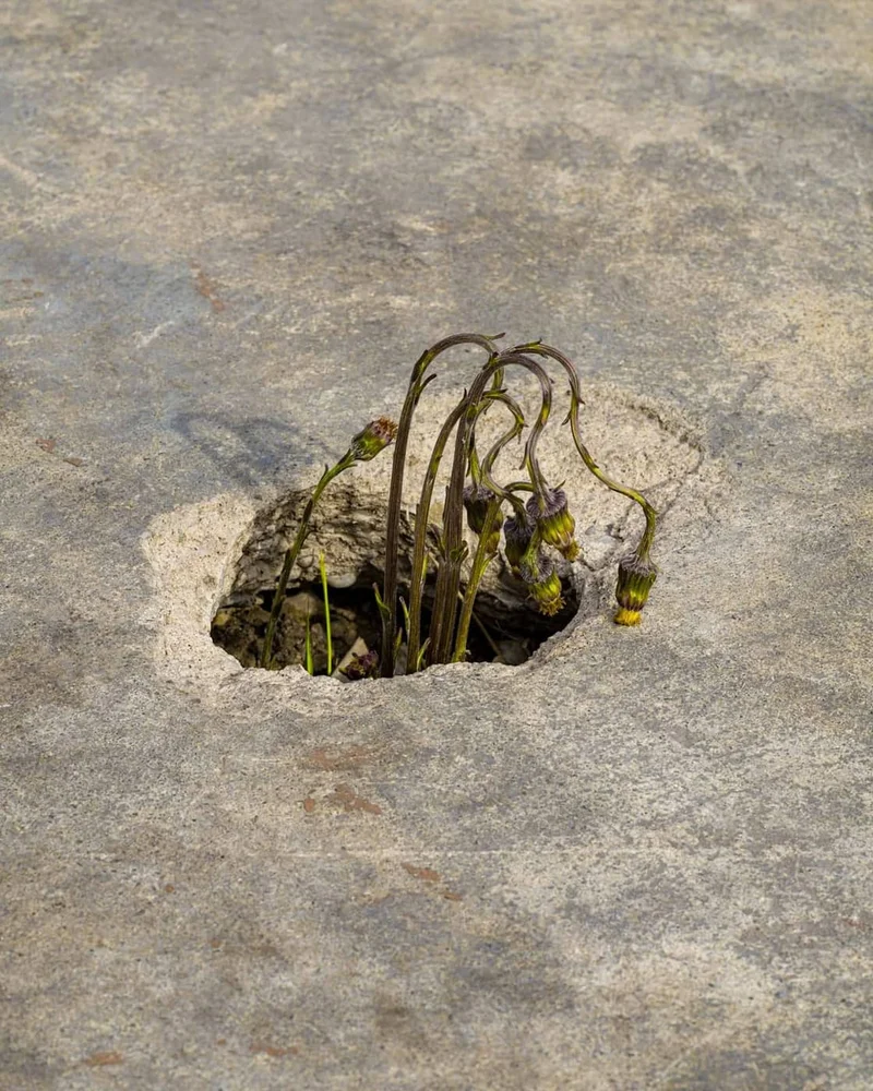 Powell May - Photo 1