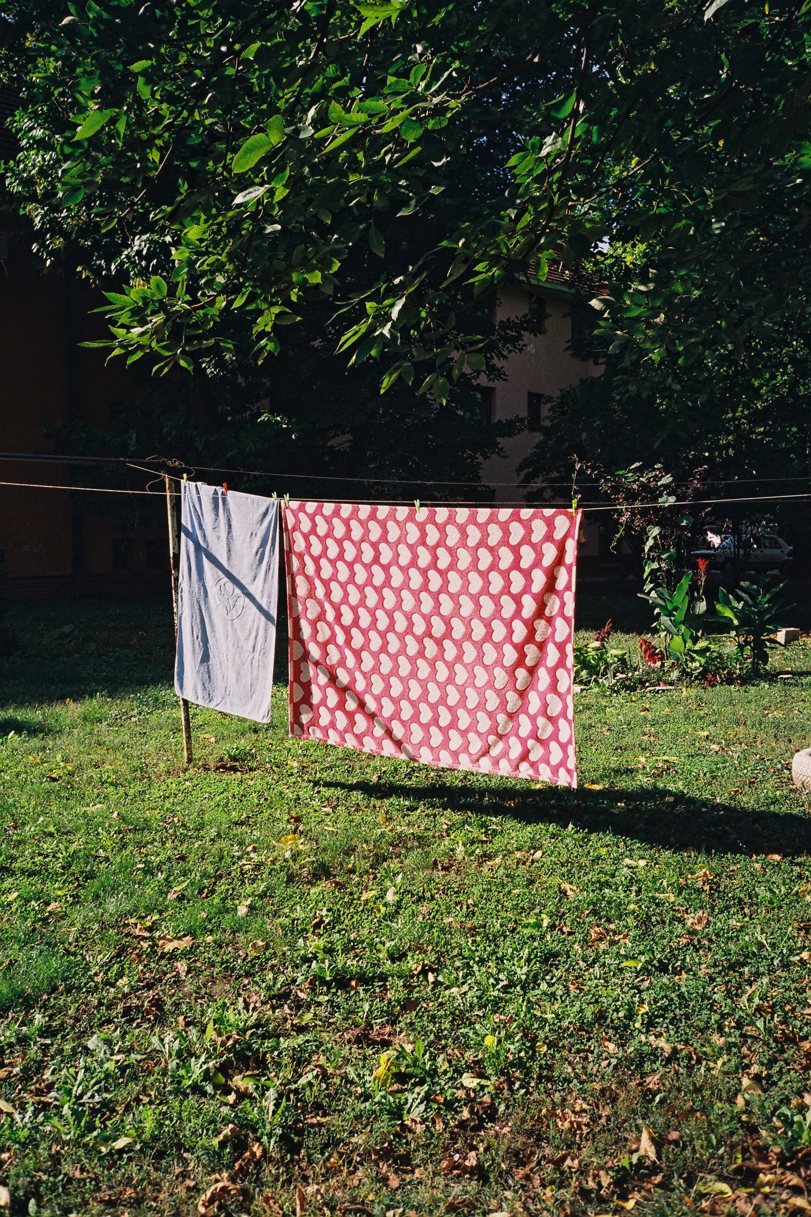 Predrag Djulinac - Photo 5