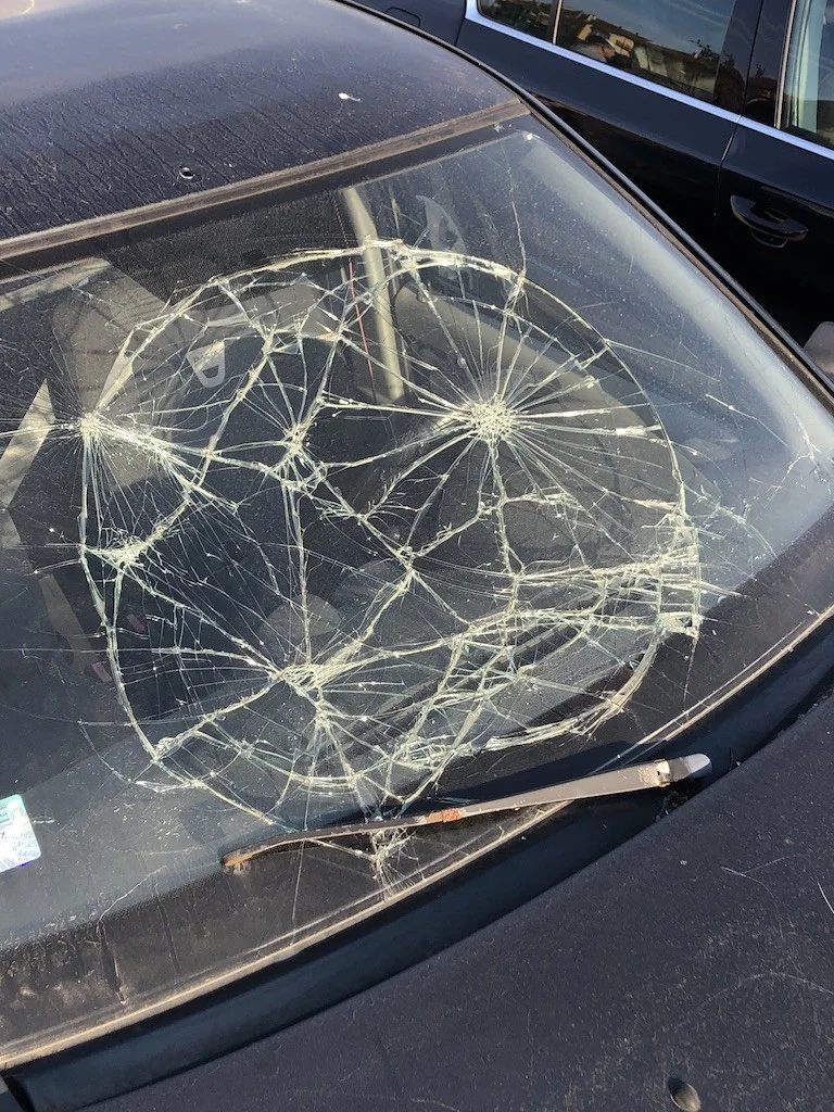 Predrag Djulinac - Photo 1