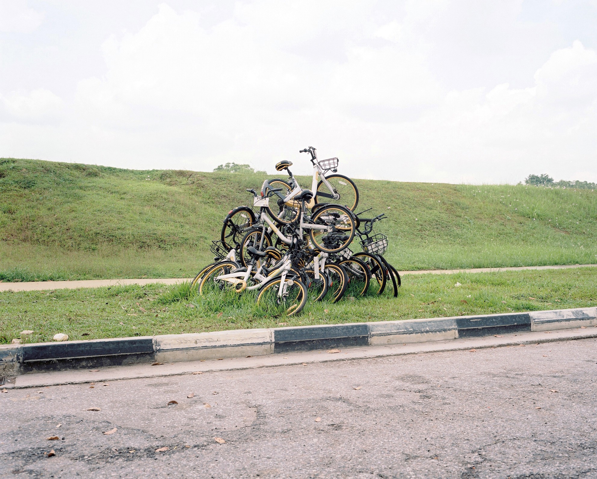 Ralph Steinegger - Photo 3