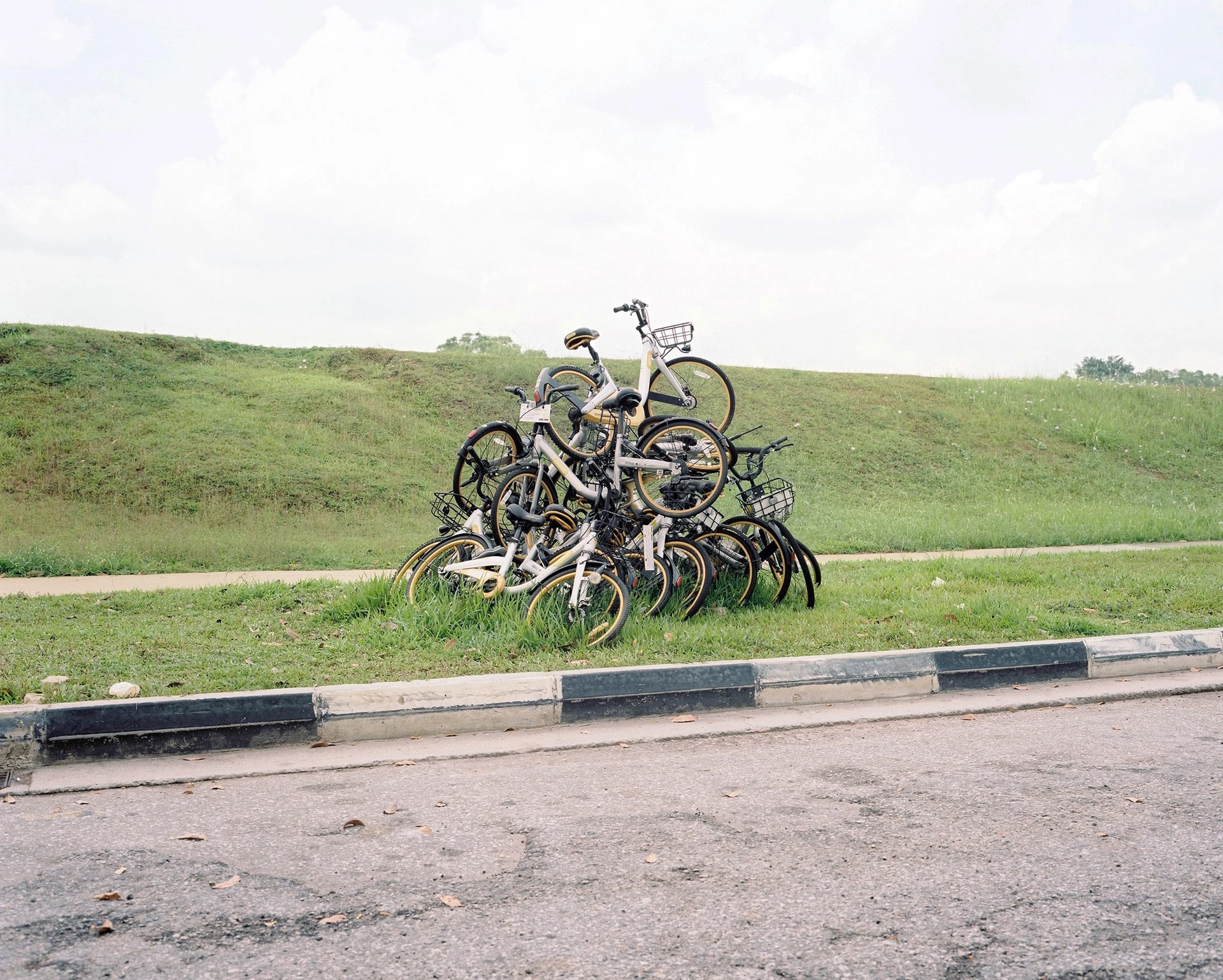 Ralph Steinegger - Photo 3