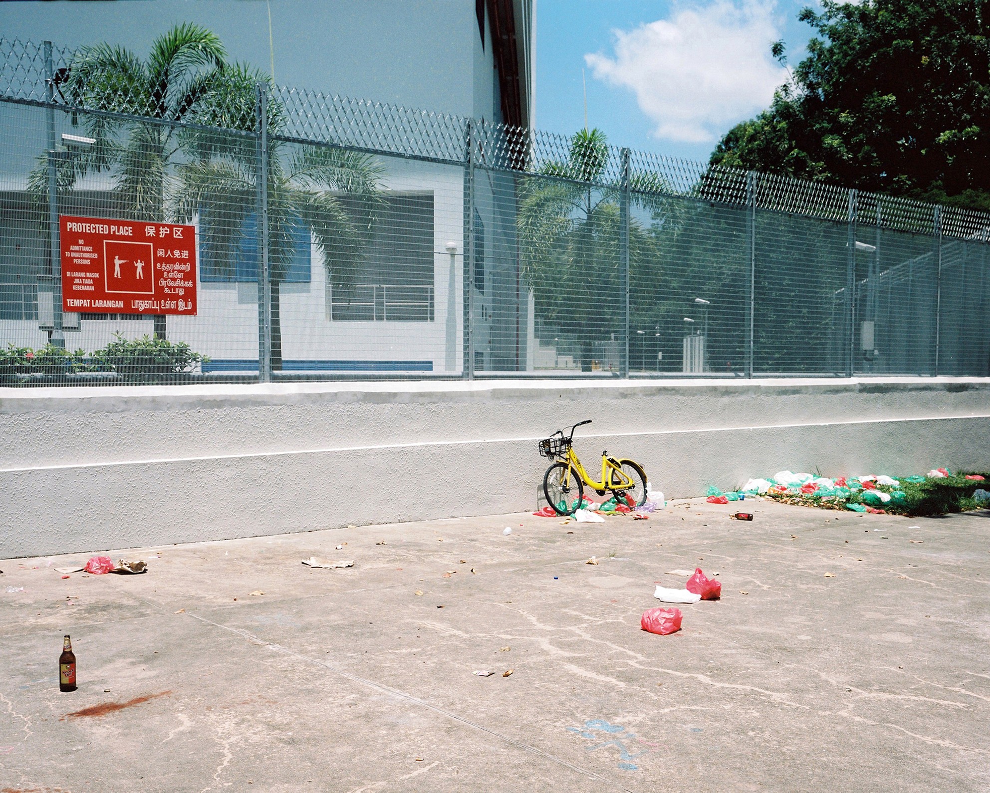 Ralph Steinegger - Photo 4