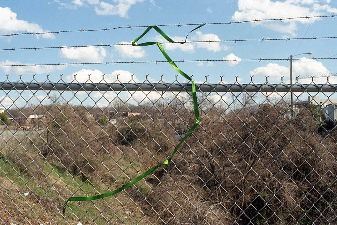 Reuben Bloom - Photo 6