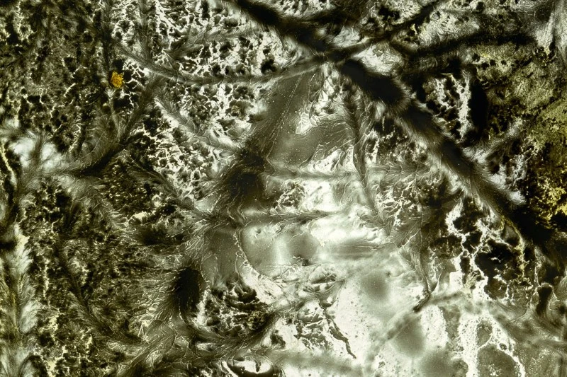 Ron Geipel - Photo 3