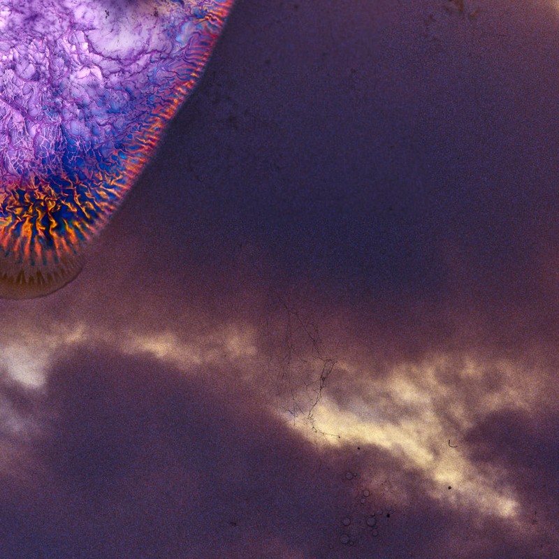 Ron Geipel - Photo 4