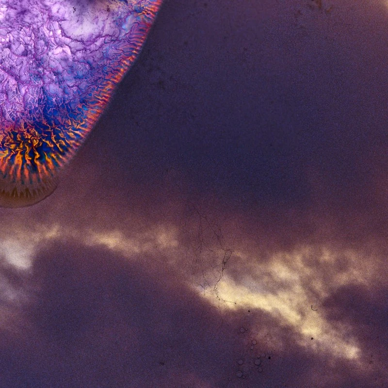 Ron Geipel - Photo 4