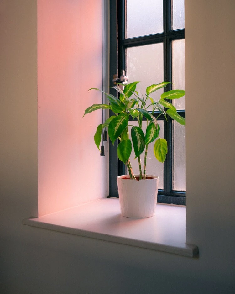 Sam Johnson - Photo 4