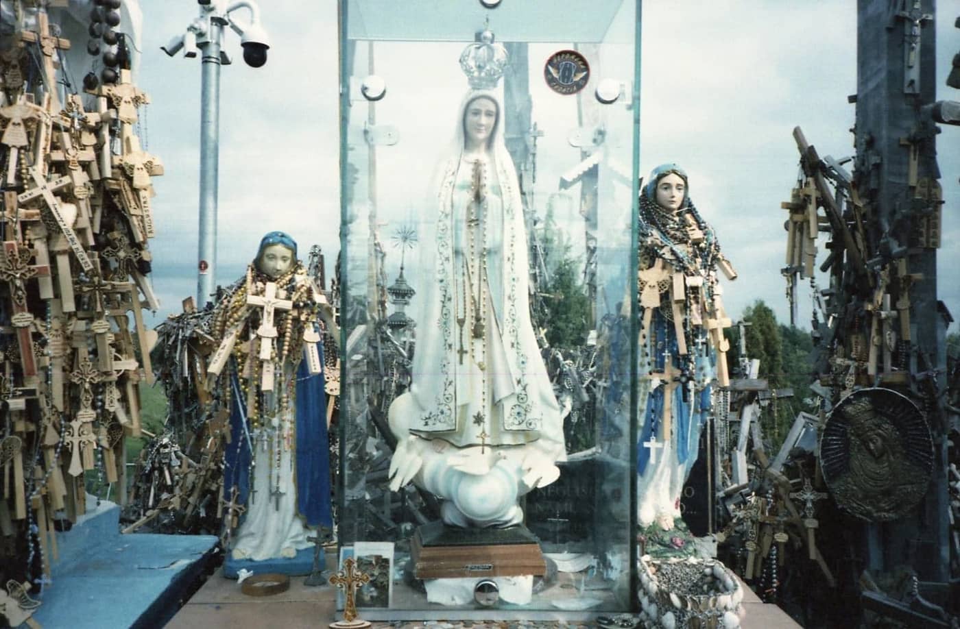 Sarunas Milasevicius - Photo 1