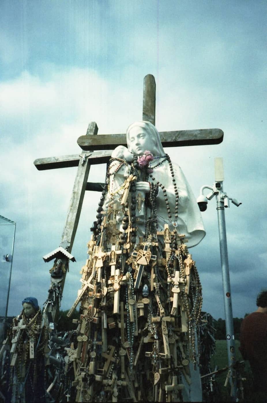 Sarunas Milasevicius - Photo 2