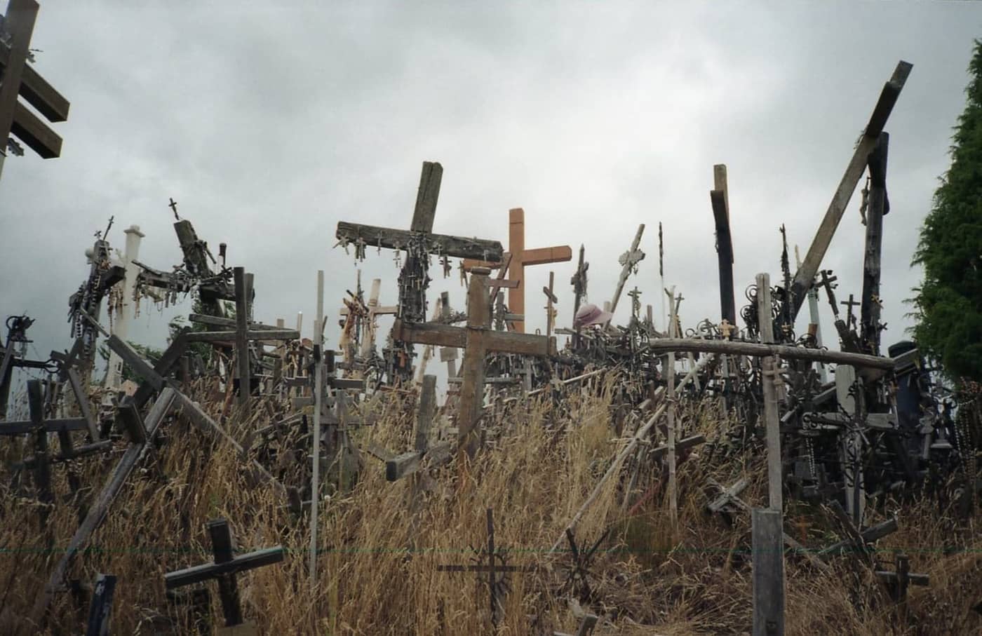 Sarunas Milasevicius - Photo 3