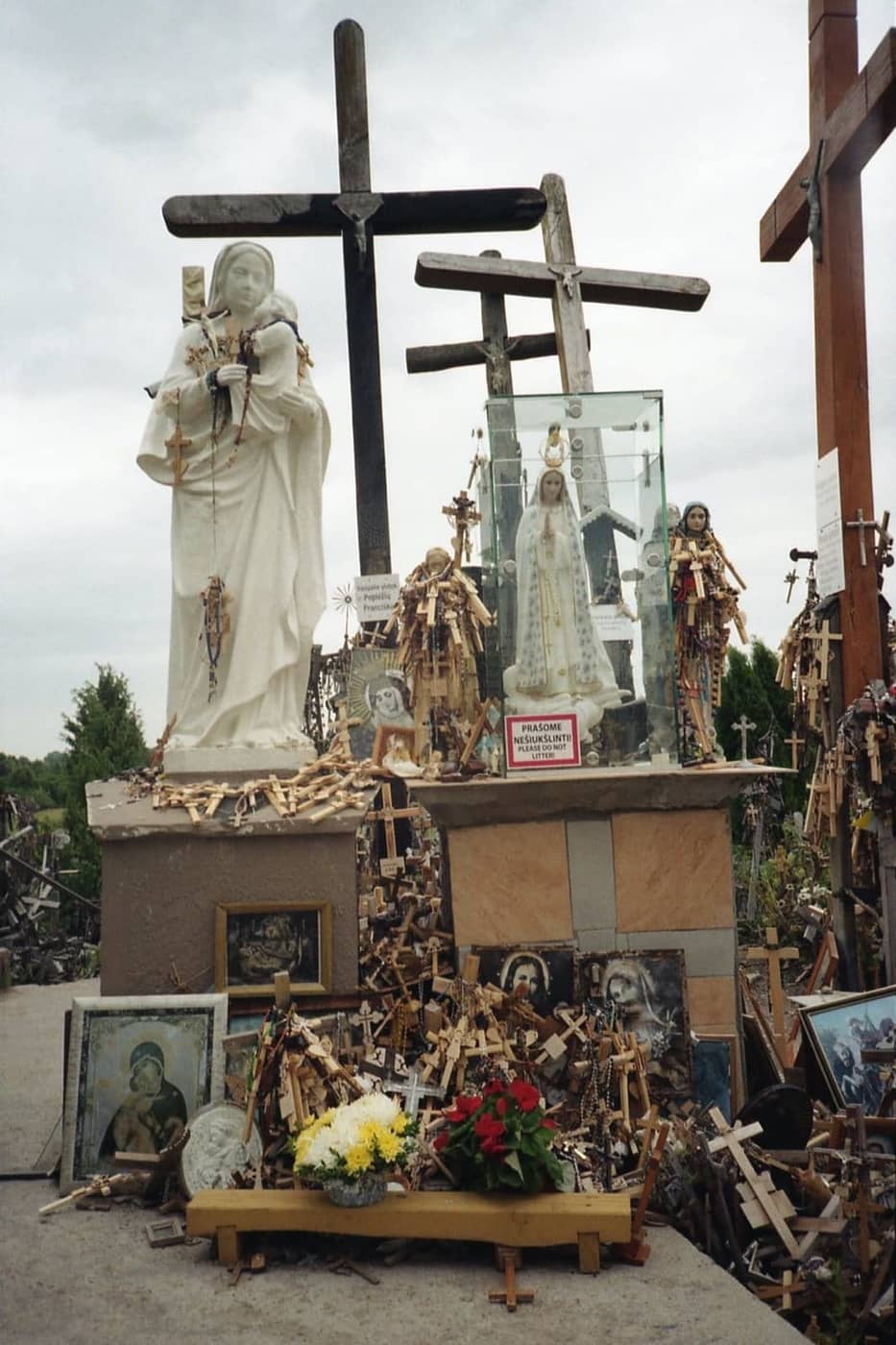 Sarunas Milasevicius - Photo 5