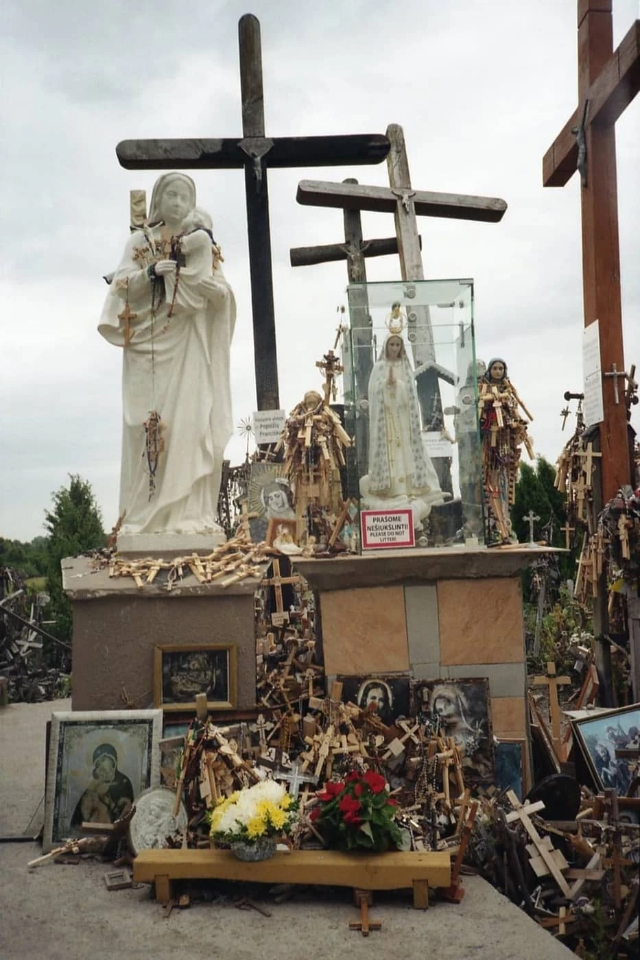 Sarunas Milasevicius - Photo 5