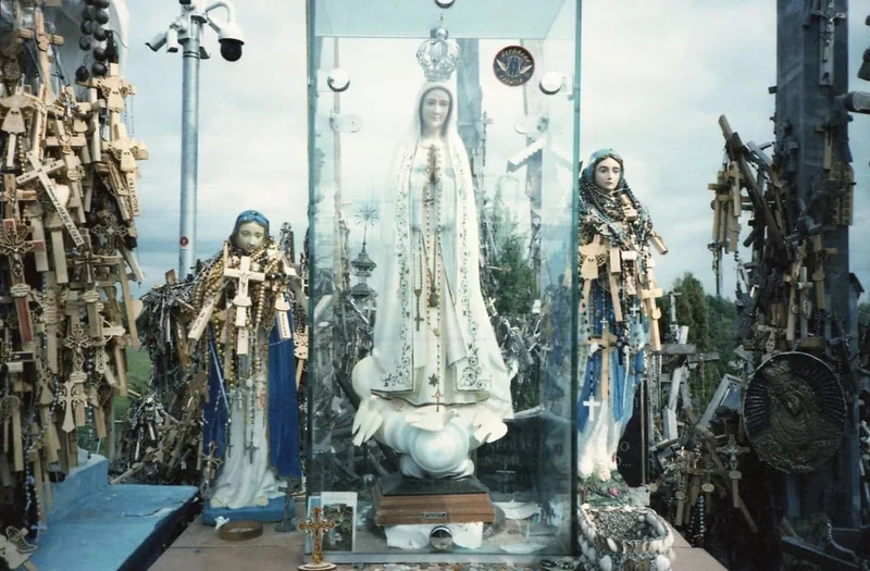 Sarunas Milasevicius - Photo 1