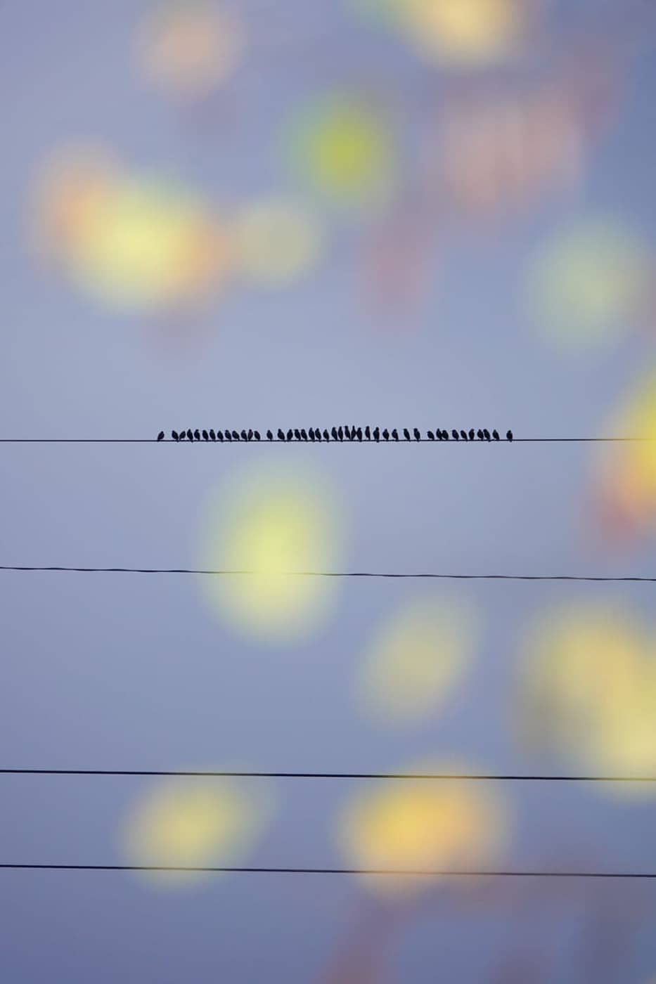 Sasha Elage - Photo 1