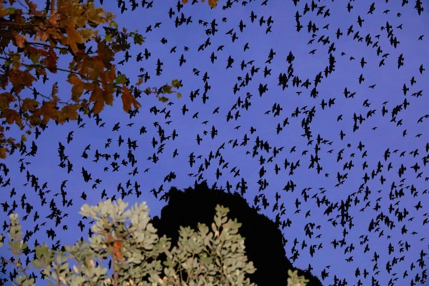 Sasha Elage - Photo 3