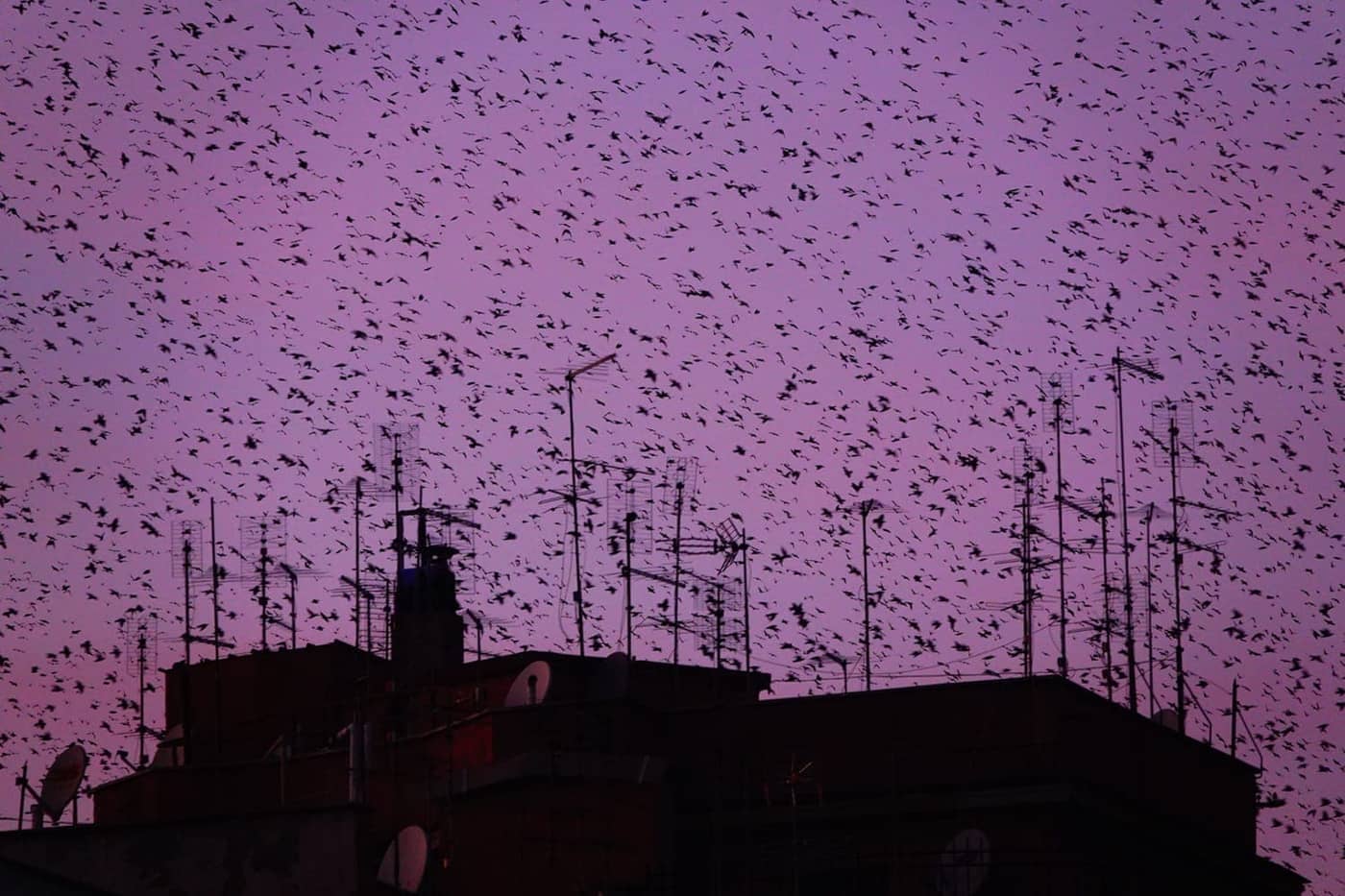 Sasha Elage - Photo 4