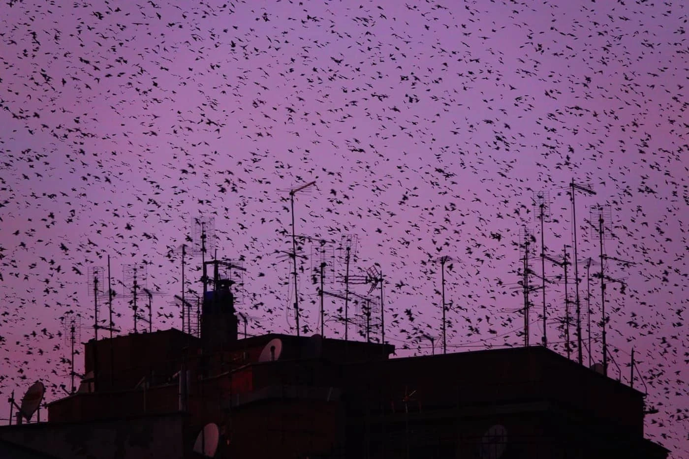 Sasha Elage - Photo 4