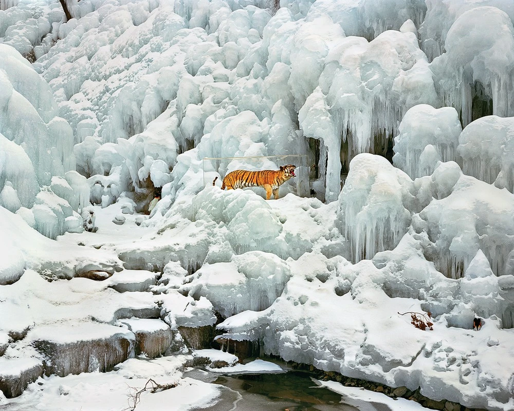 Seunggu Kim - Photo 5