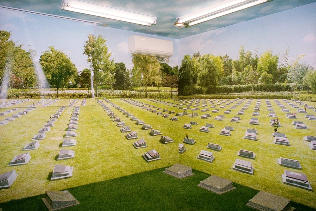 Shin Noguchi - Photo 5