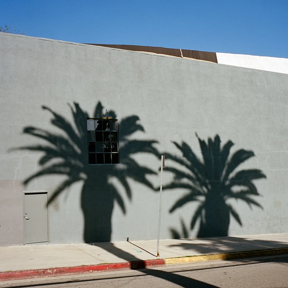 Sinziana Velicescu - Photo 2