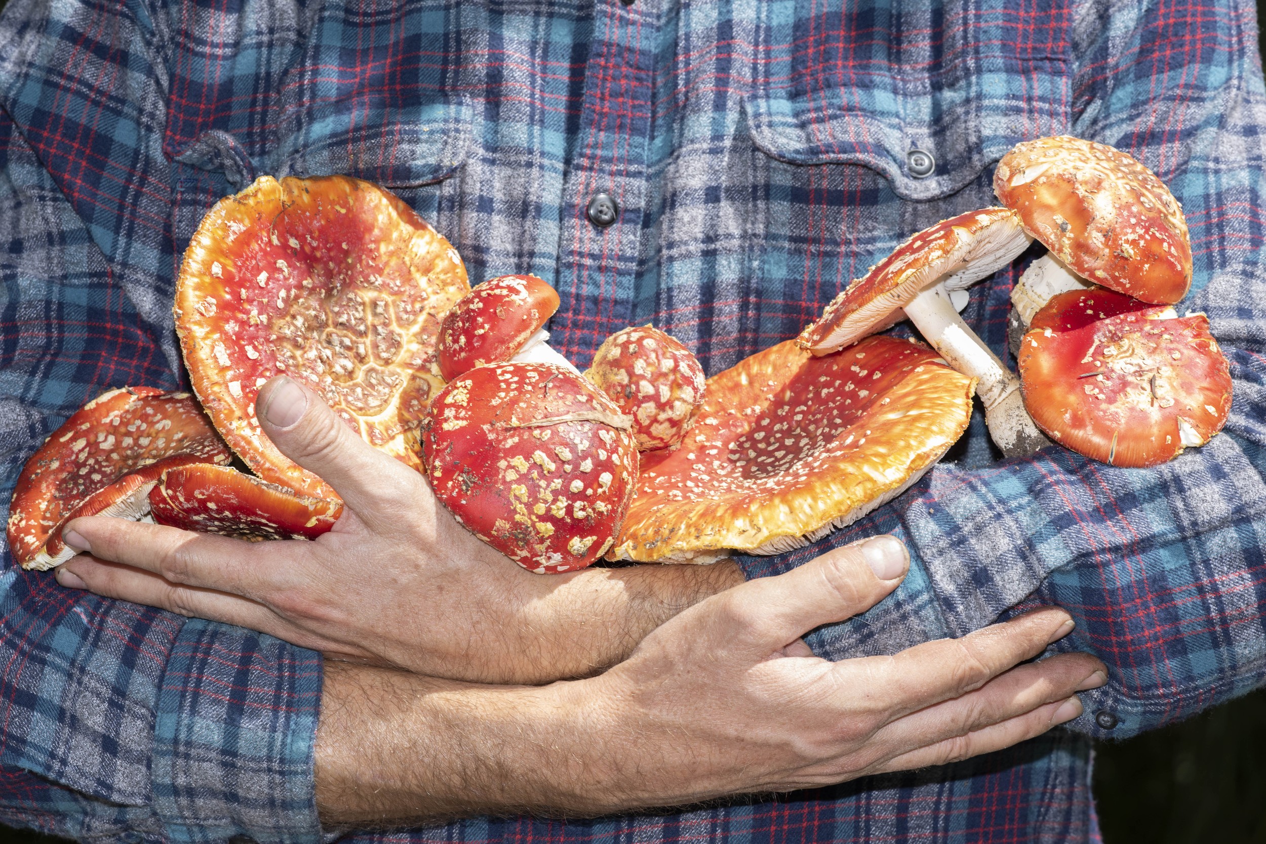 Skyler Dahan - Photo 1