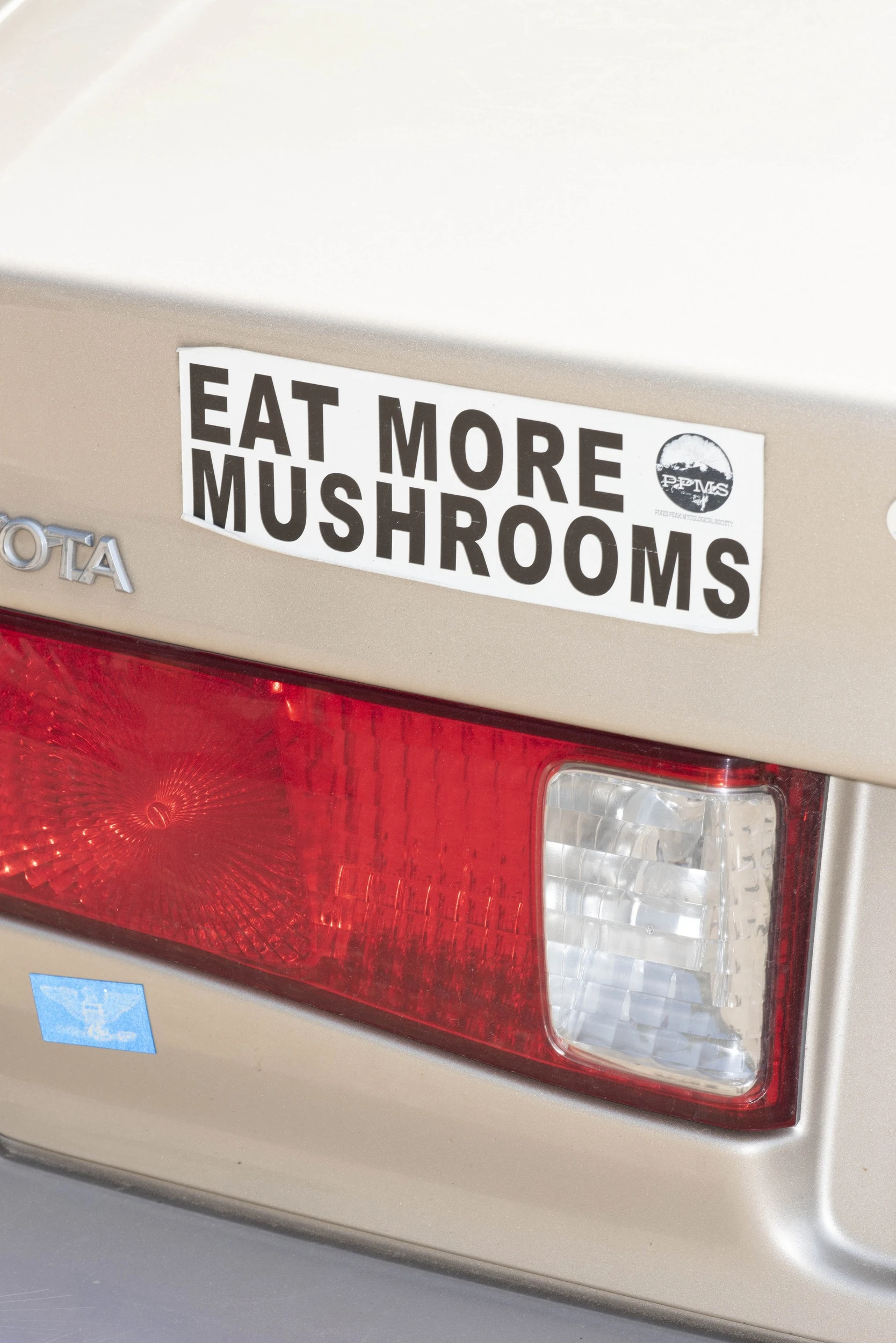 Skyler Dahan - Photo 4