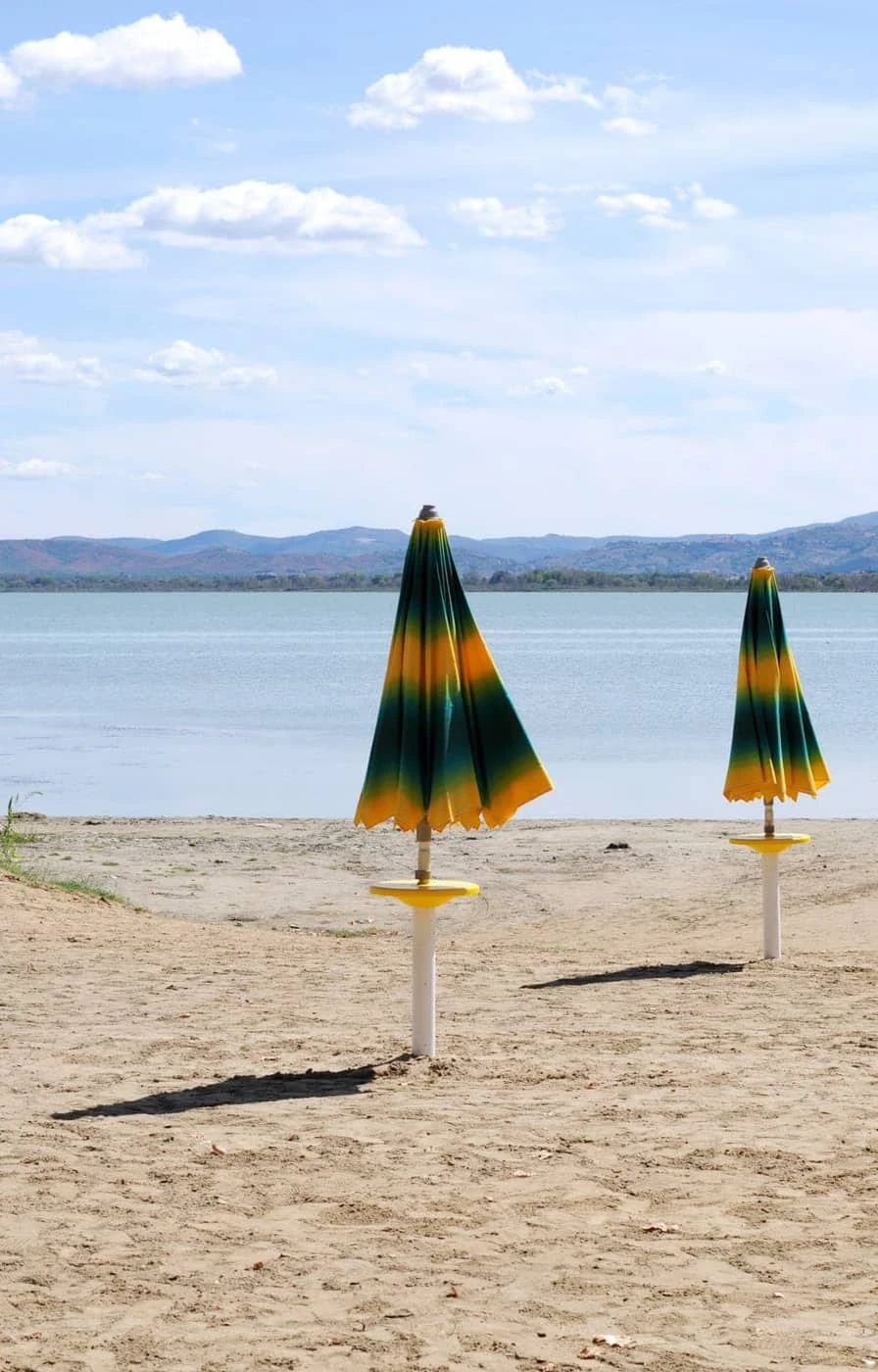 Sofia Erto - Photo 5