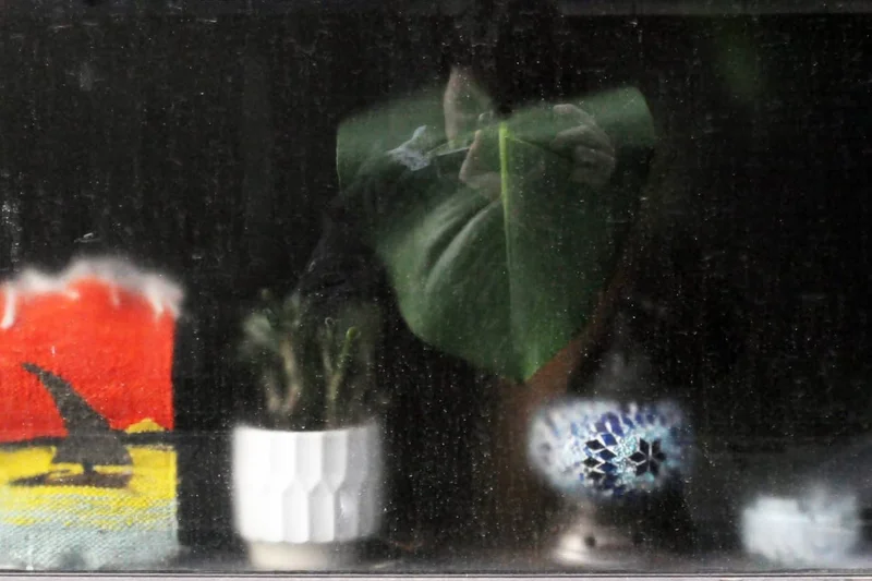 Sofia Erto - Photo 1