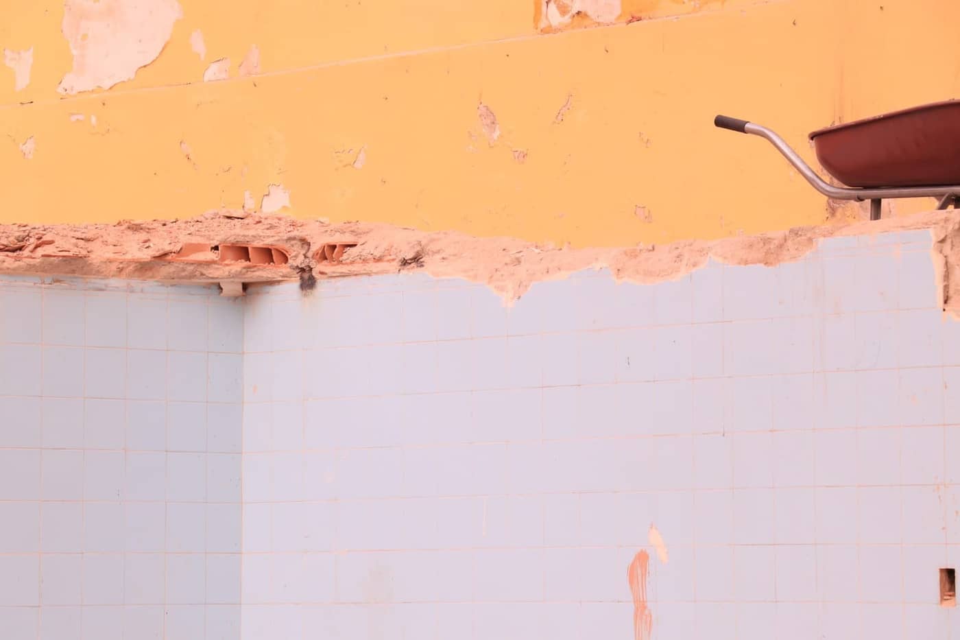 Sofia Nehring Dobberthin - Photo 3