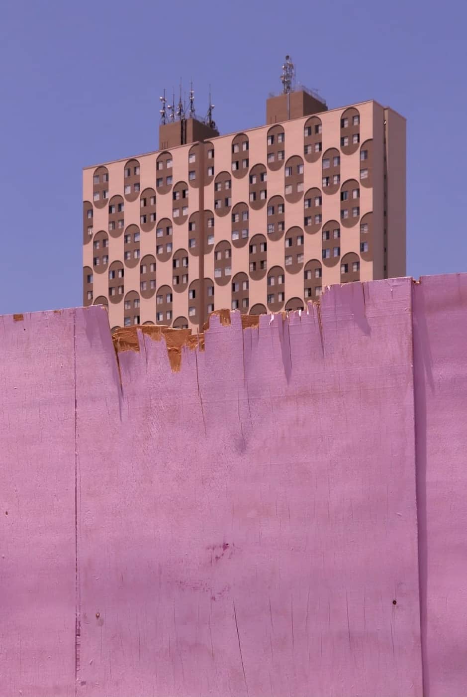 Sofia Nehring Dobberthin - Photo 4