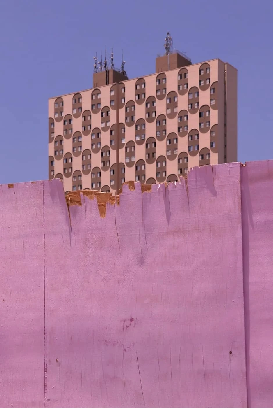 Sofia Nehring Dobberthin - Photo 4