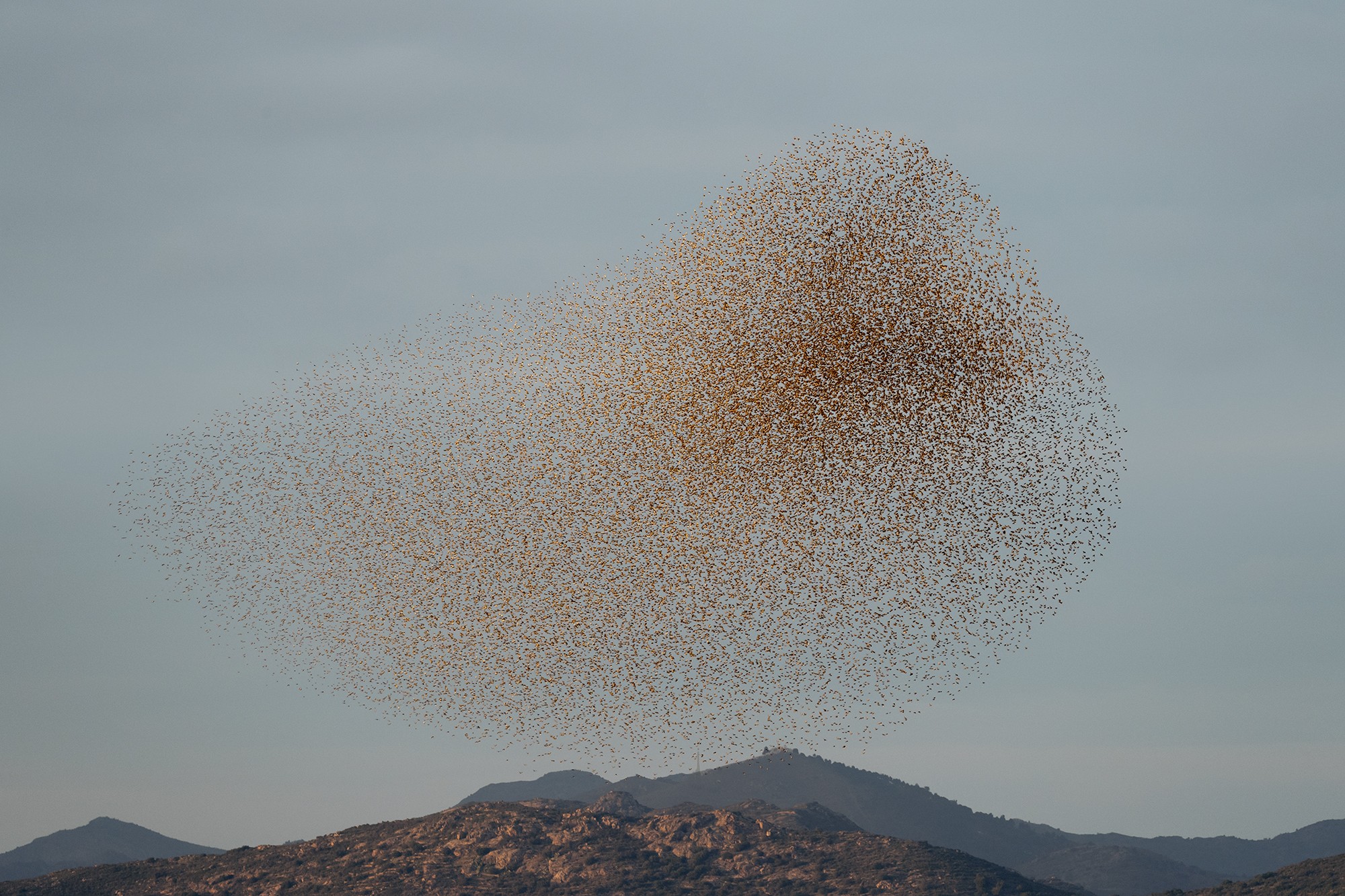 Søren Solkær - Photo 1