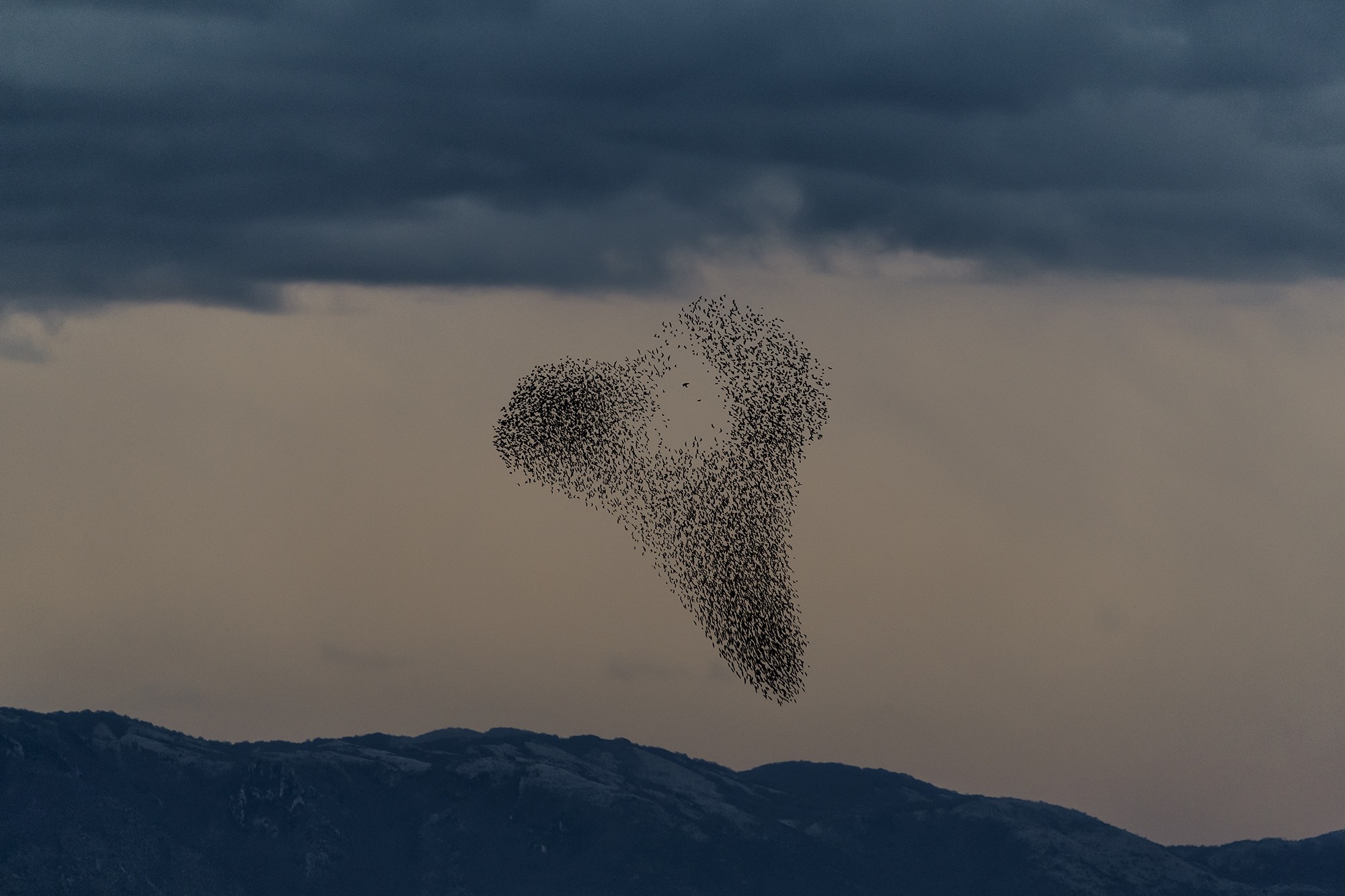 Søren Solkær - Photo 3