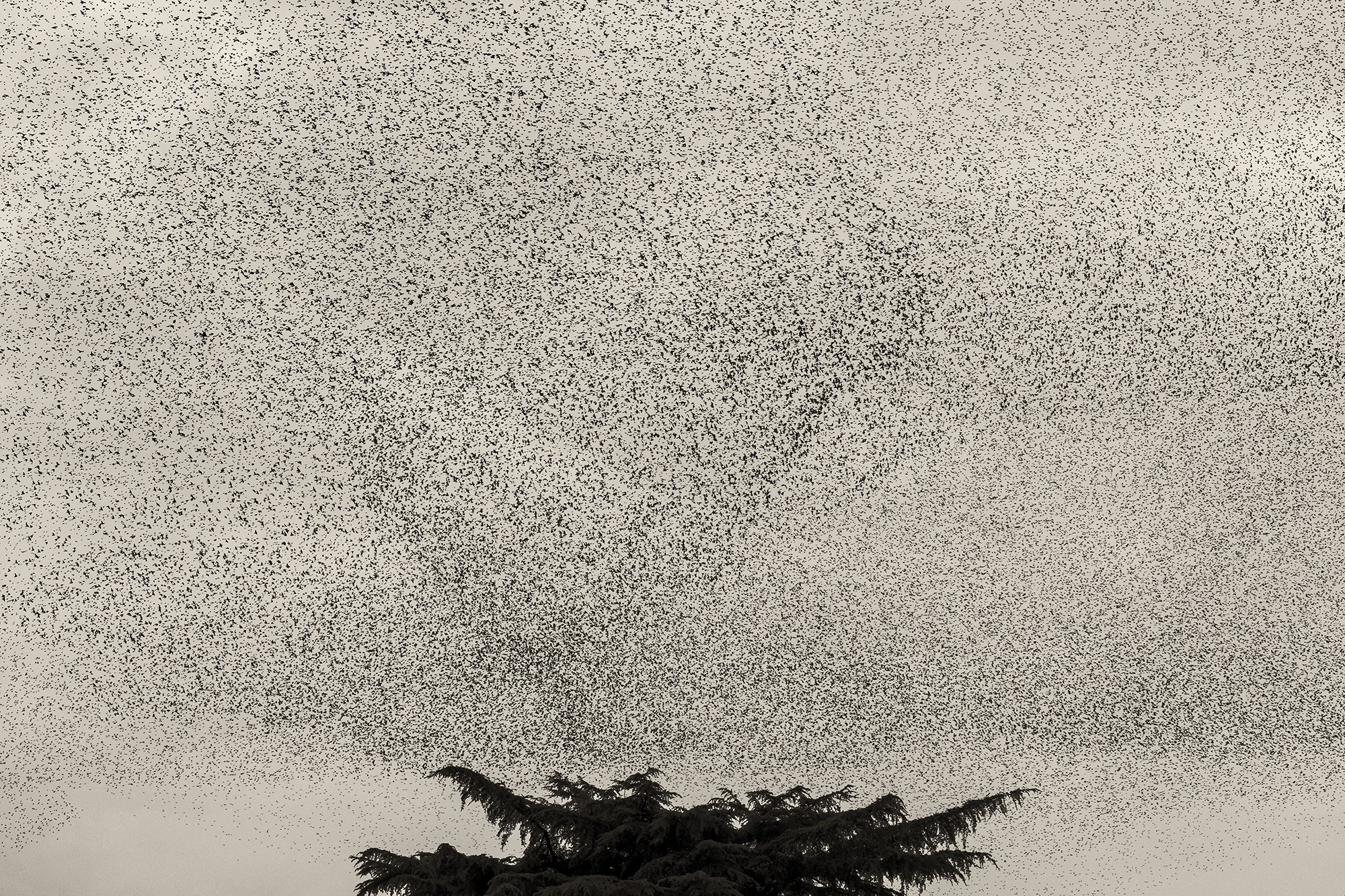 Søren Solkær - Photo 5