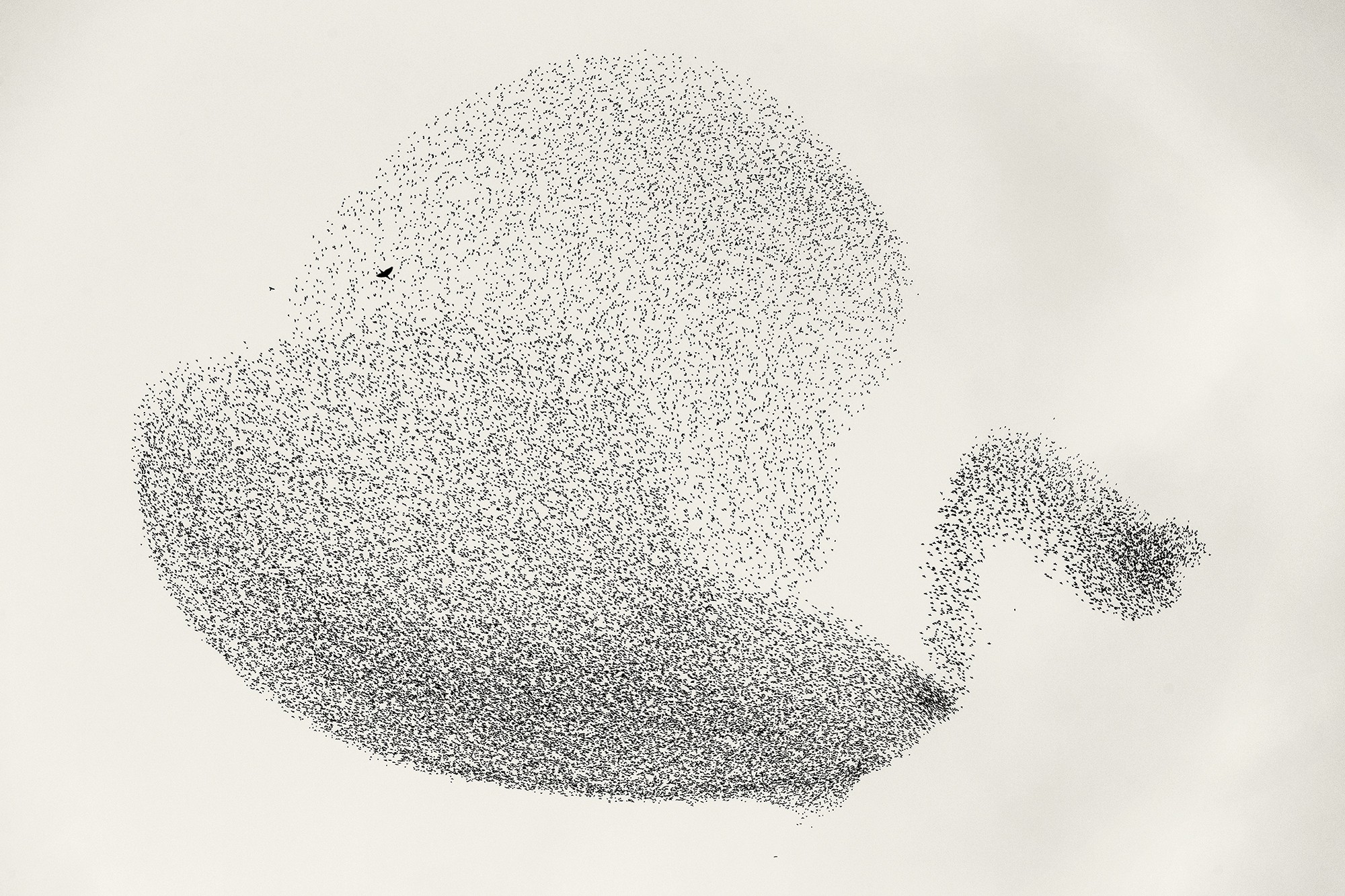 Søren Solkær - Photo 6