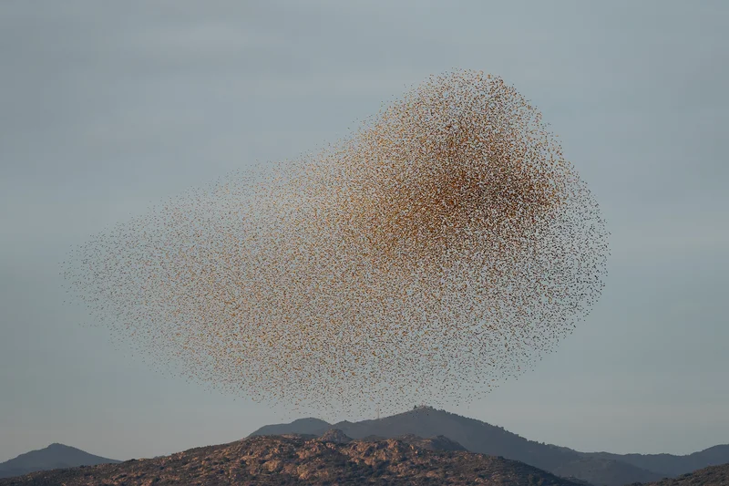 Søren Solkær - Photo 1