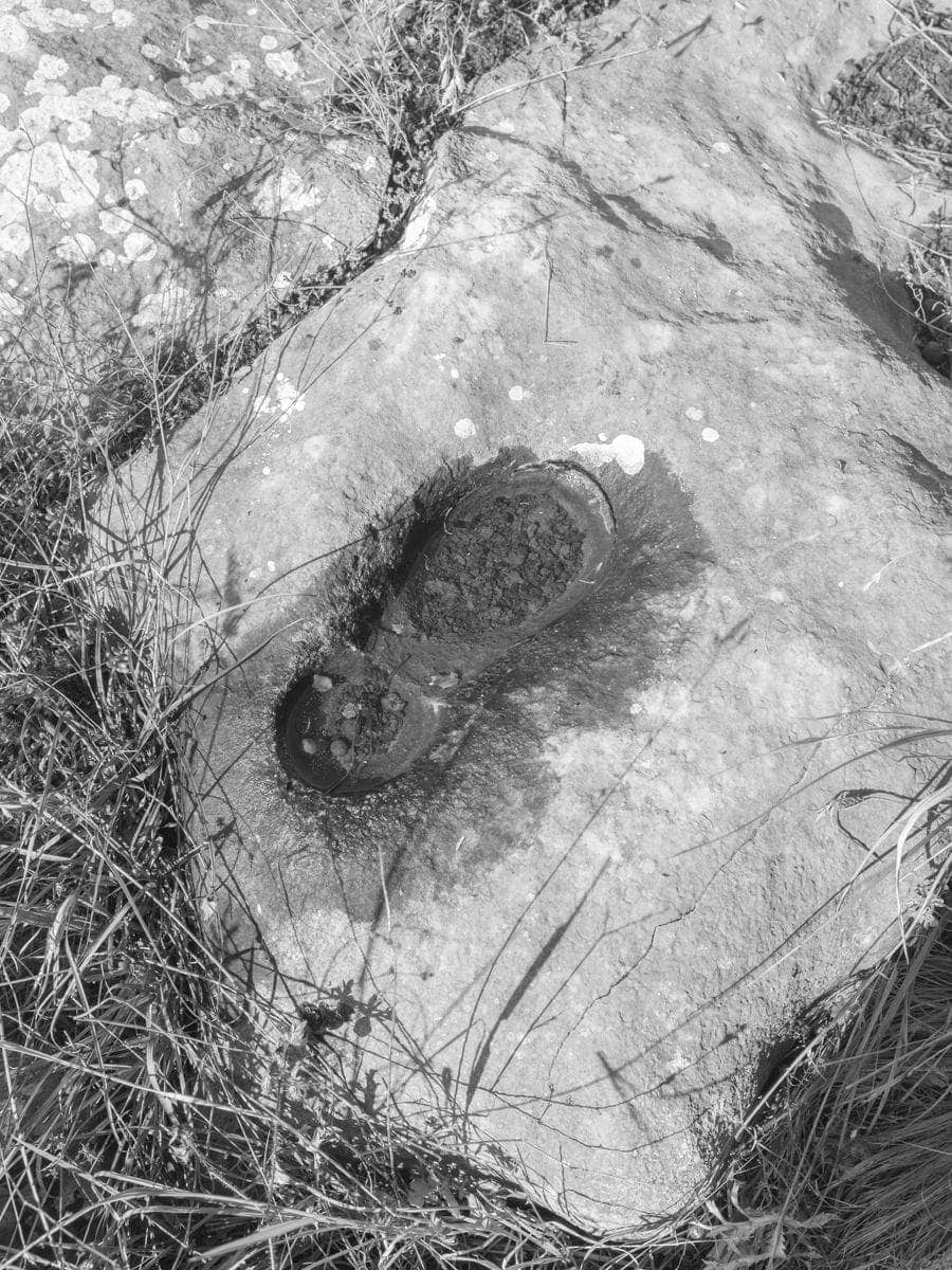 Soti Tyrologou - Photo 4