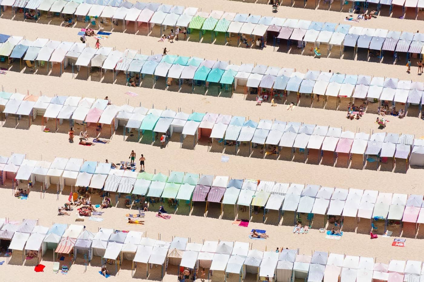 Tom Thiercelin - Photo 2