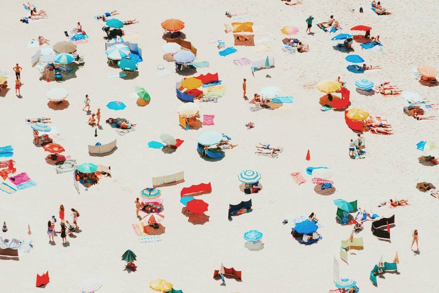 Tom Thiercelin - Photo 3