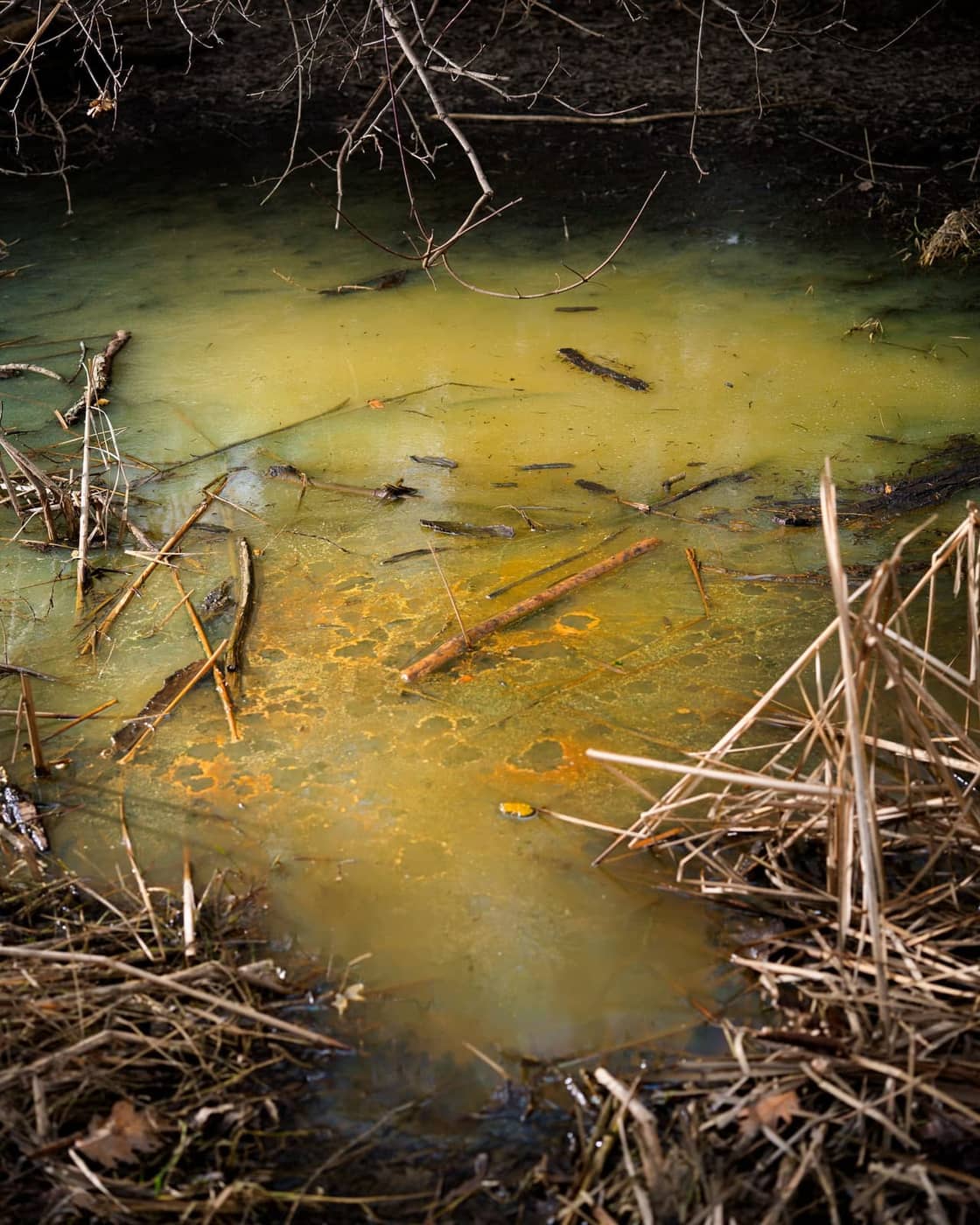 Tommy Keith - Photo 1