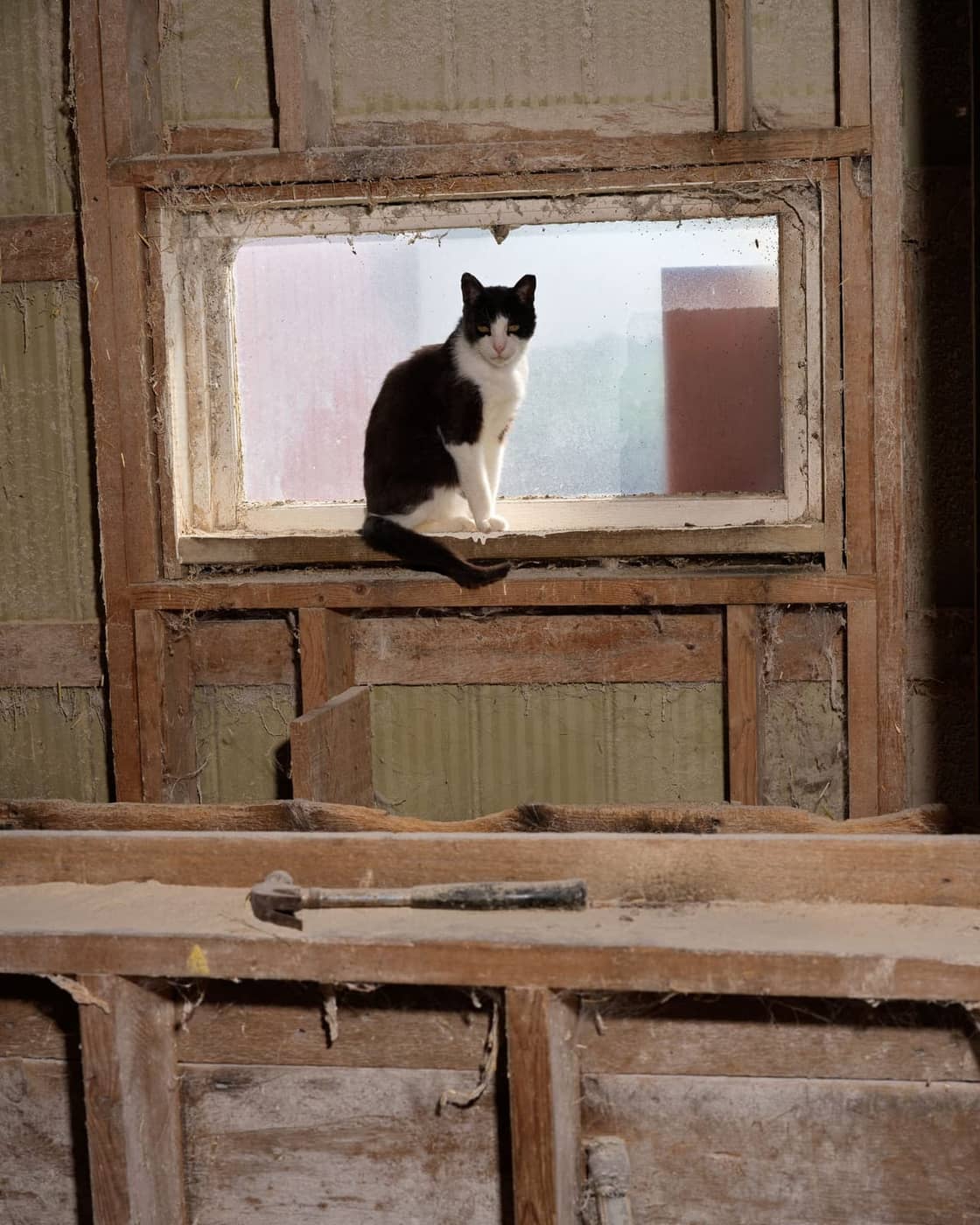 Tommy Keith - Photo 3