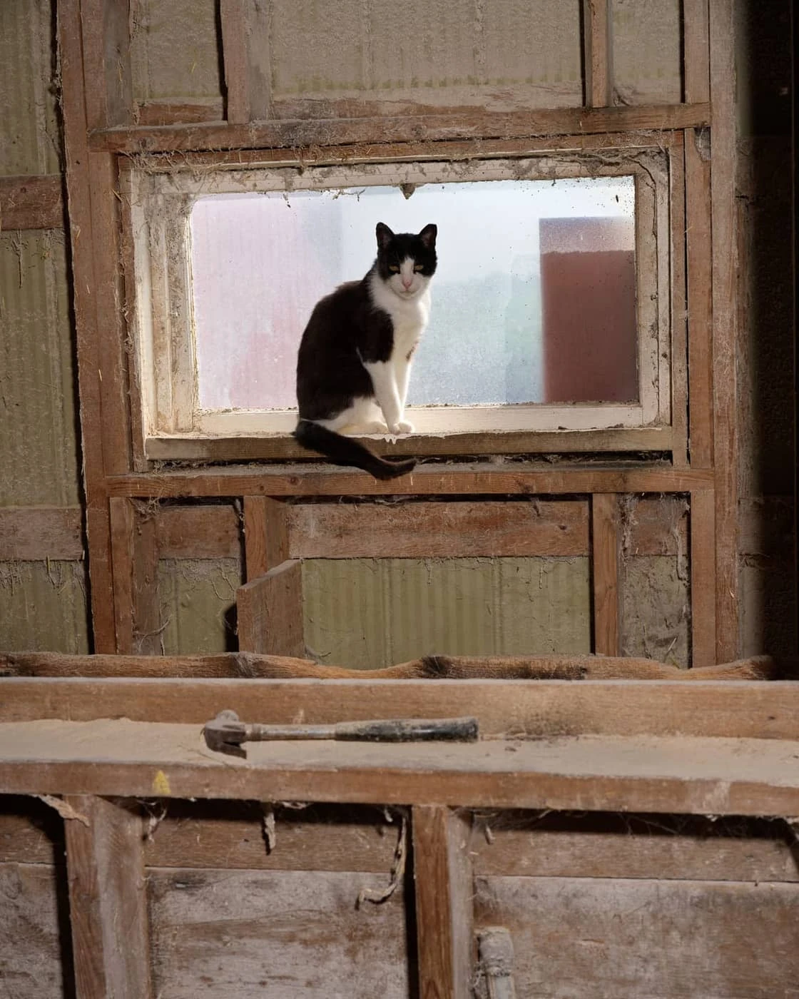 Tommy Keith - Photo 3