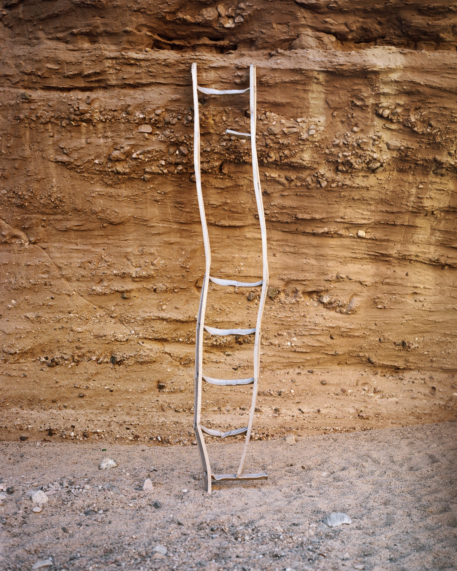 Tracy L Chandler - Photo 4