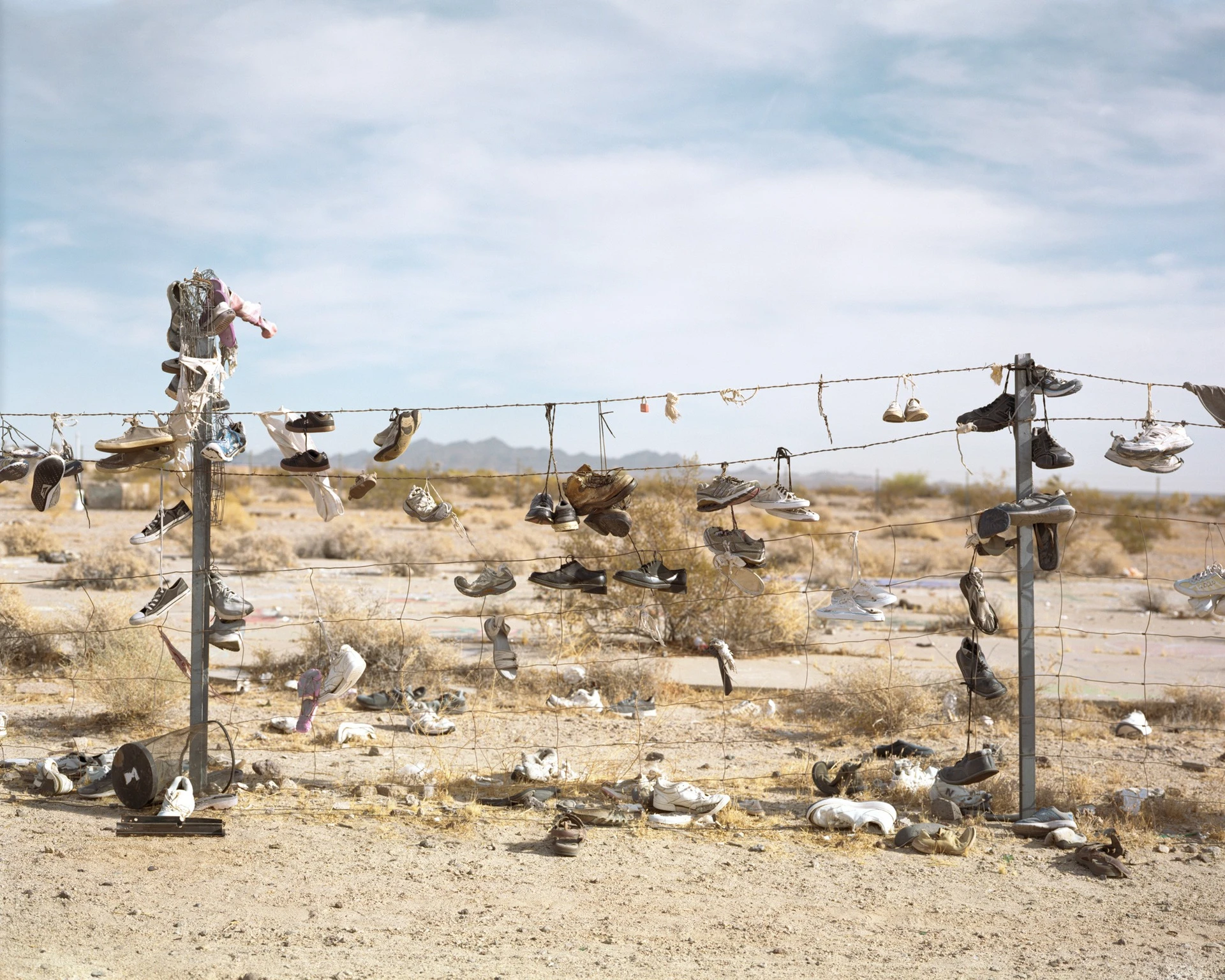 Tracy L Chandler - Photo 6