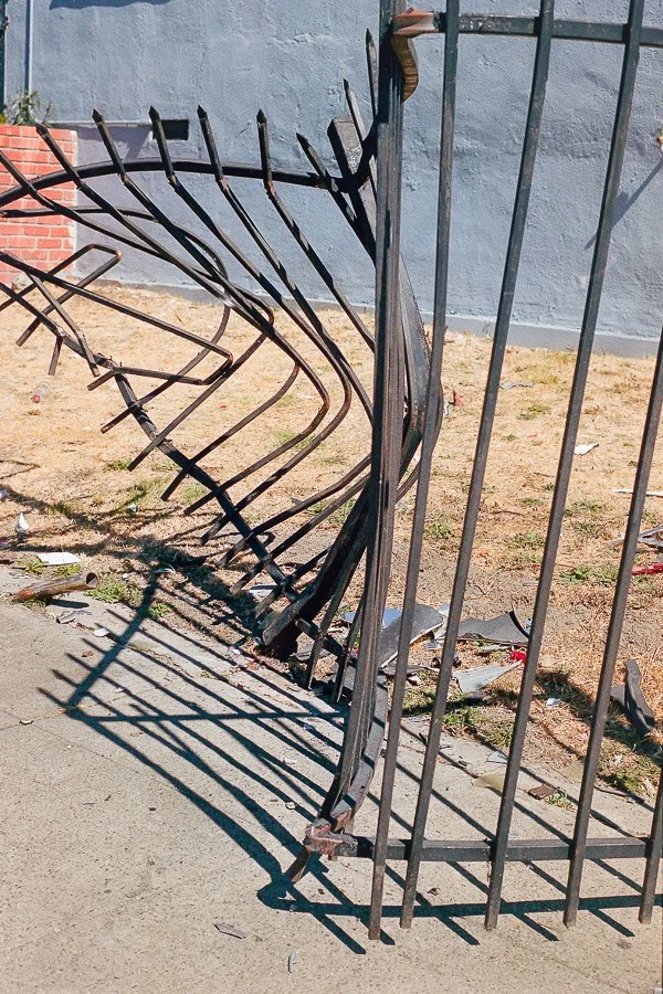 Trevor Murphy - Photo 1