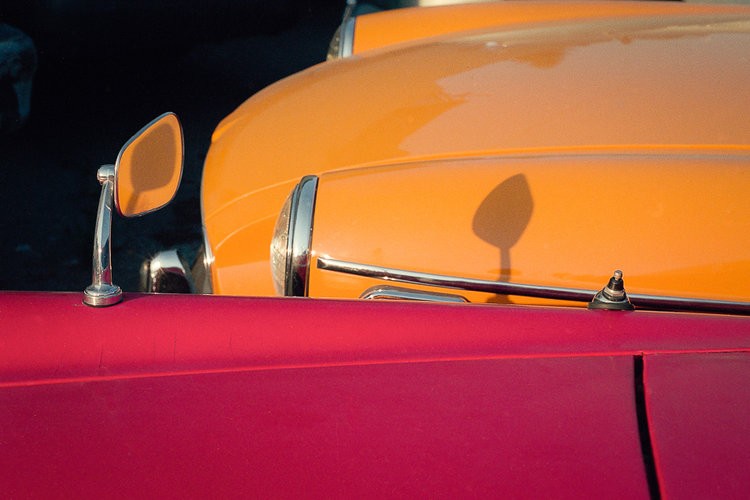 Trevor Murphy - Photo 5