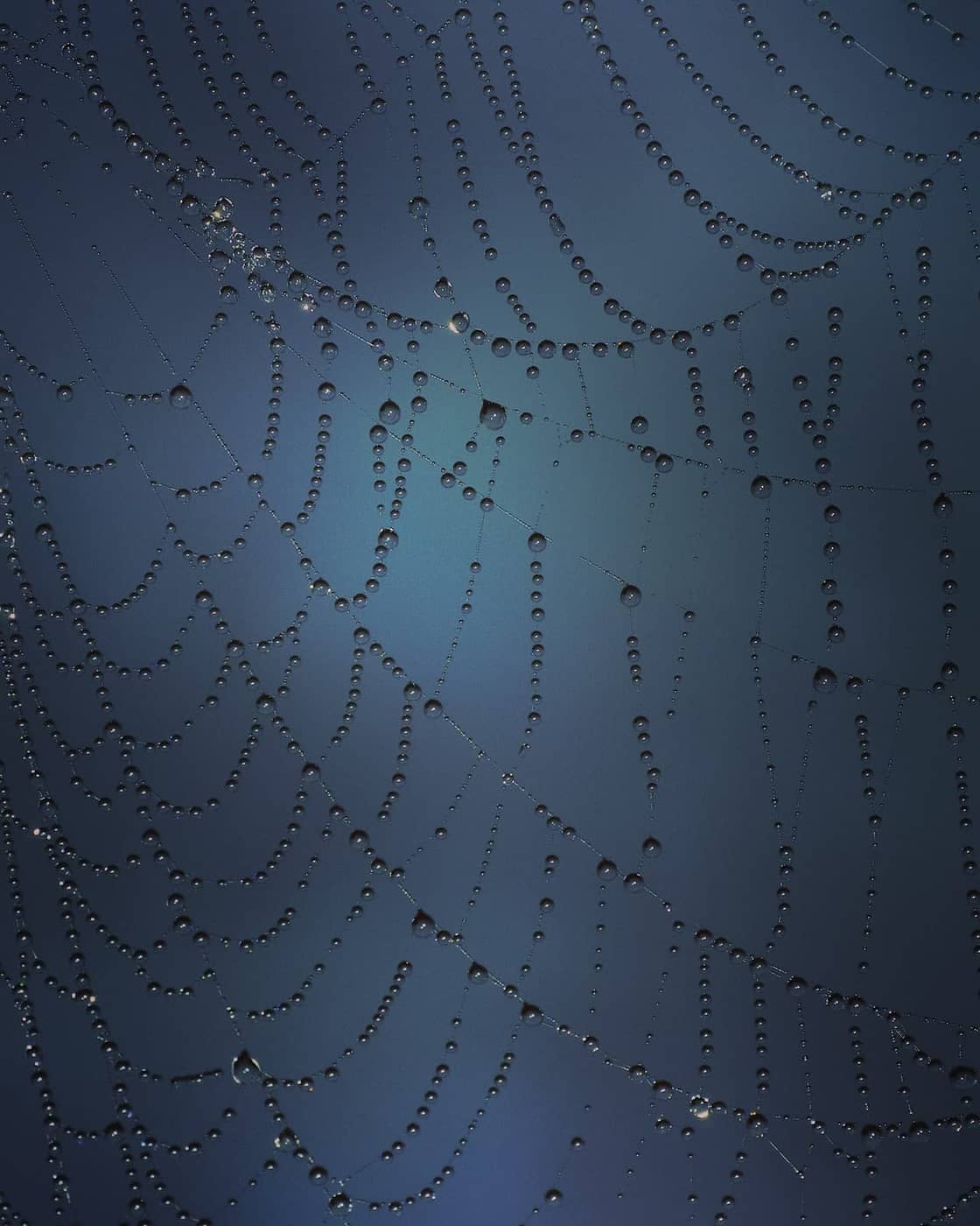 Victor Berthoud - Photo 6