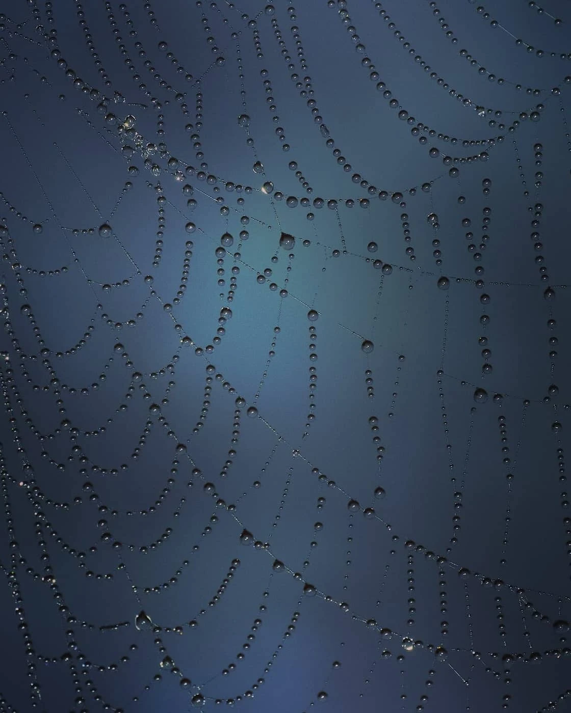 Victor Berthoud - Photo 6